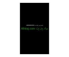 مصر