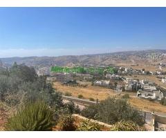 ارض للبيع بسعر مغري جدا باطلالة ساحرة - عمان - الظهير
