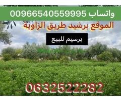 برسيم للبيع بالفصة