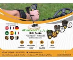 Gold Detectors 2022 | Professional Metal Detectors
