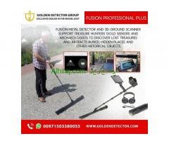 OKM Fusion Professional Plus 3D Ground Scanner from Golden Detector