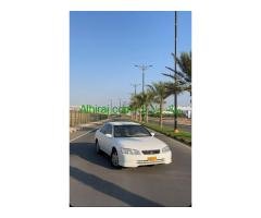 مسقط