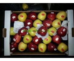تفاح تركي اصفر و احمر باسعار جملة ممتازة