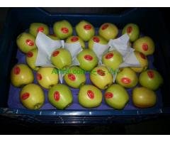 تفاح تركي اصفر و احمر باسعار جملة ممتازة