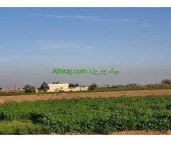 مزرعة ٤٥ فدان  بمصر للبيع مسجلة شهر عقارى