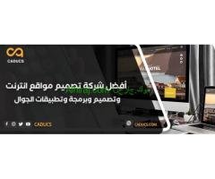 تصميم موقع الكتروني احترافي سريع ومتجاوب - caducs