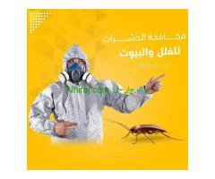 شركة رش حشرات الصراصير والبق بالمدينة المنورة 0567274119
