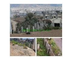 اب